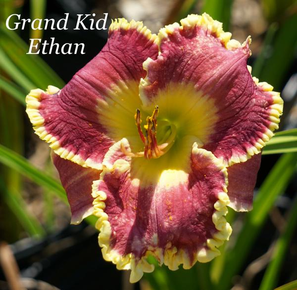 Grand Kid Ethan