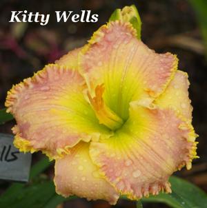 Kitty Wells 001