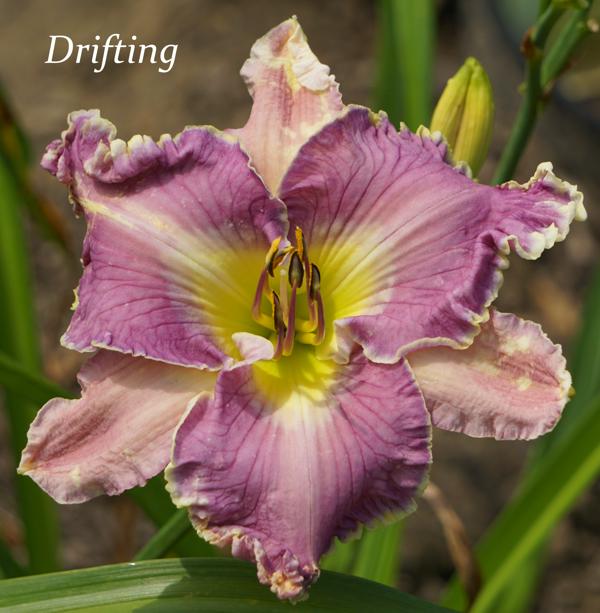Drifting