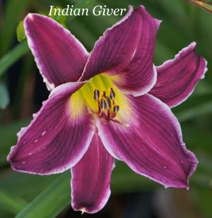 Indian Giver