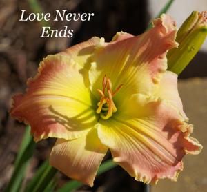 Love Never Ends