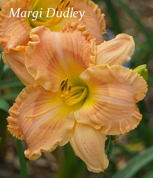 Margie Dudley2