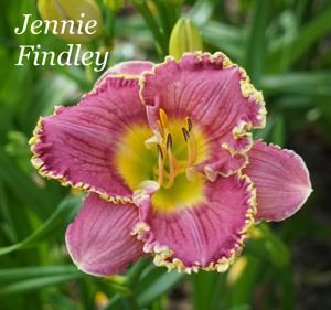 Jennie Finley