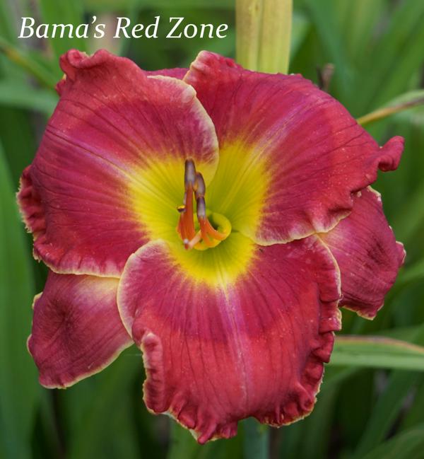 Bama's Red Zone 001