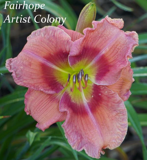 Fairhope Artist Colony