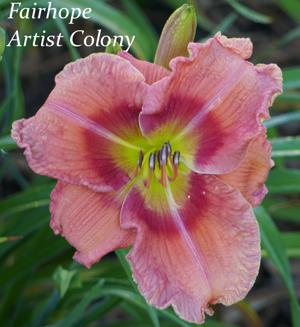 Fairhope Artist Colony