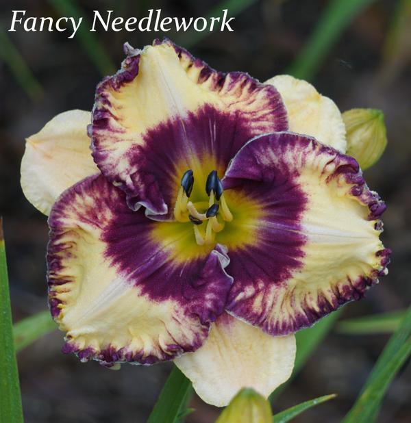 Fancy Needlework