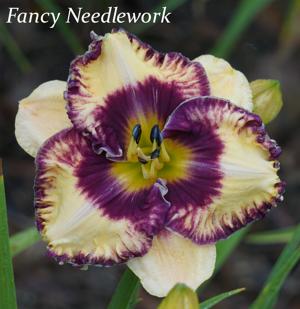 Fancy Needlework