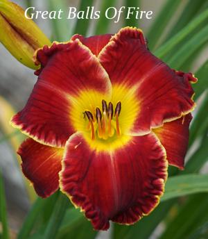 Great Balls Of Fire