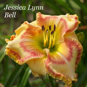 Jessica Lynn Bell