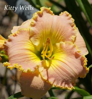 Kitty Wells