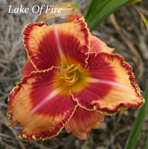 Lake Of Fire