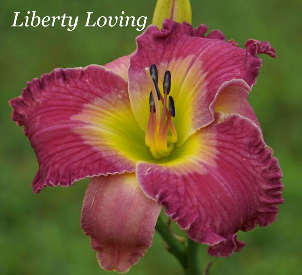 Liberty Loving