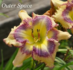 Outer Space