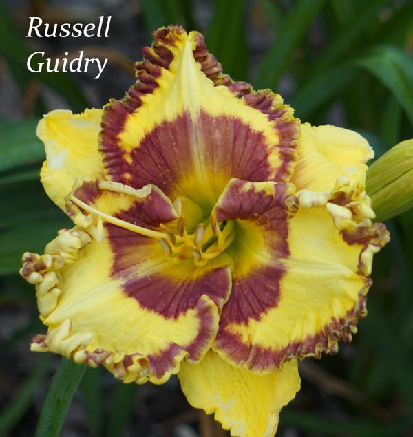 Russell Guidry