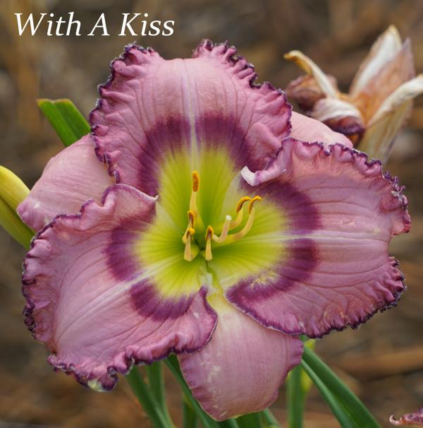 With A Kiss
