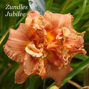 Zundles Jubilee